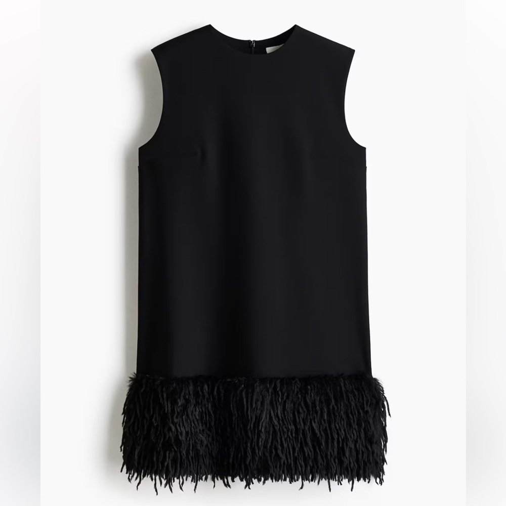 New H&M Fringe-Hem Mini Dress - Picture 4 of 5